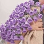 crochet rose flower bouquet blanket