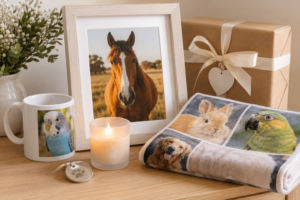 Personalised pet parent gift display with horse photo frame, bird mug, animal photo blanket, candle and paw keepsake.