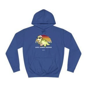 Blue hoodie with a graphic of a rainbow-striped sun and cartoon character on the chest, plus text beneath.